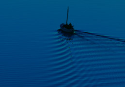 color of the year 2020 bg